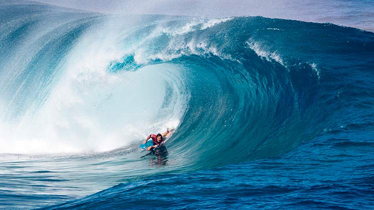 New Fronton2019presentation