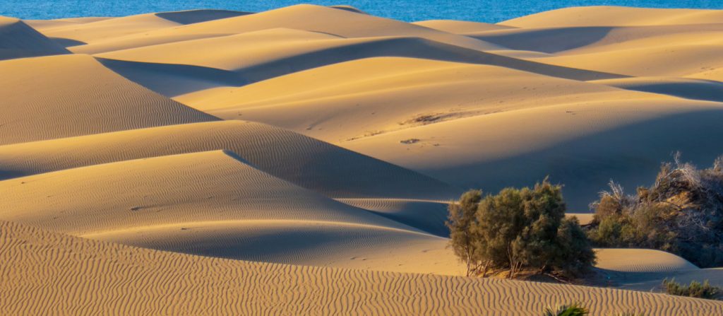 dunas maspalomas